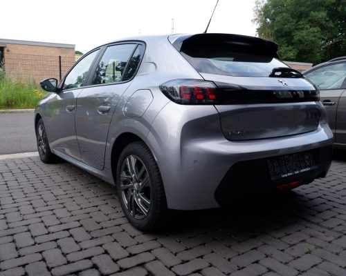 DSCF1729